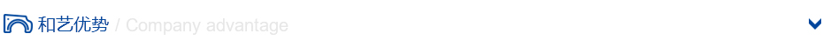公司優勢 公司優勢